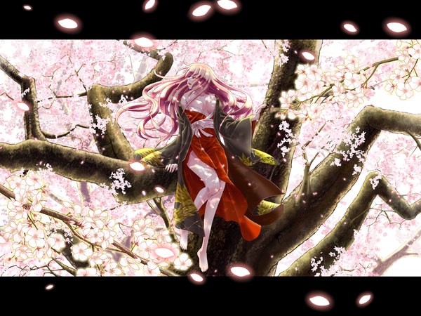 Anime picture 2048x1536 with vocaloid megurine luka komono2008 single long hair highres breasts blue eyes light erotic sitting looking away pink hair cleavage nail polish japanese clothes barefoot bare legs cherry blossoms letterboxed tree sitting