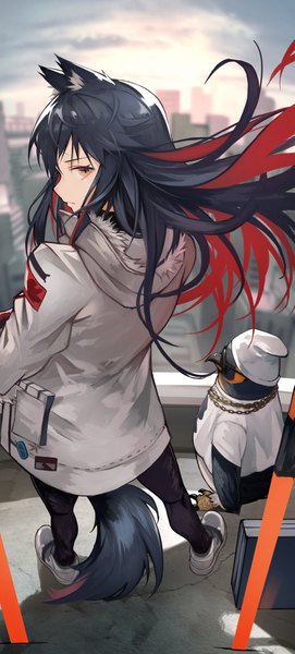 Anime picture 1853x4096 with arknights texas (arknights) the emperor (arknights) yoshio (55level) single long hair tall image looking at viewer fringe highres black hair hair between eyes animal ears sky cloud (clouds) full body red hair tail animal tail looking back