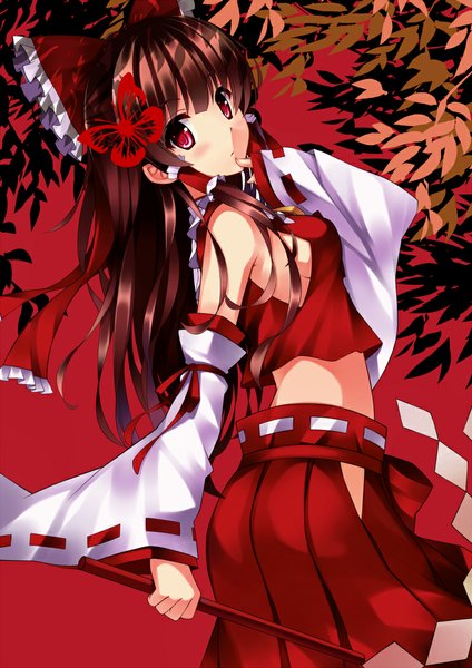 Anime picture 744x1052 with touhou hakurei reimu mushroom (artist) single long hair tall image blush red eyes brown hair traditional clothes miko girl skirt hair ornament bow hair bow detached sleeves skirt set butterfly hair ornament gohei