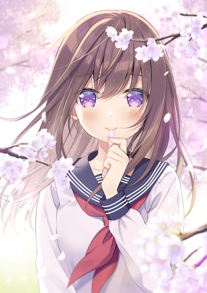 Anime picture 800x1132 with original sumisaki yuzuna single long hair tall image looking at viewer blush smile brown hair purple eyes upper body outdoors wind cherry blossoms spring girl uniform petals serafuku branch