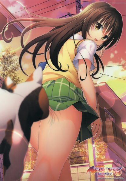 Anime picture 2752x3968 with toloveru toloveru darkness xebec kotegawa yui yabuki kentarou single long hair tall image blush highres open mouth light erotic brown hair yellow eyes outdoors looking back scan copyright name girl skirt