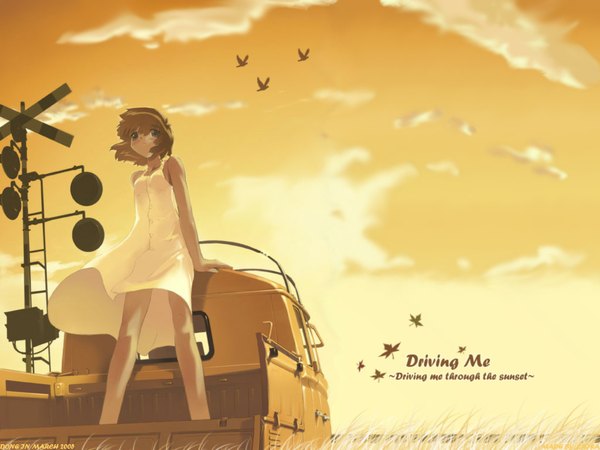 Anime picture 1024x768 with zaira kante mirofu single blush short hair brown hair green eyes sky cloud (clouds) wallpaper looking up third-party edit orange background extended girl plant (plants) animal bird (birds) grass sundress