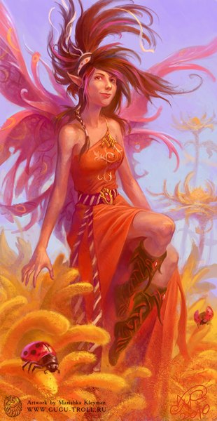 Anime picture 518x1000 with original gugu-troll (artist) long hair tall image brown hair sky pointy ears sleeveless fairy girl dress flower (flowers) plant (plants) wings insect knee boots ladybug