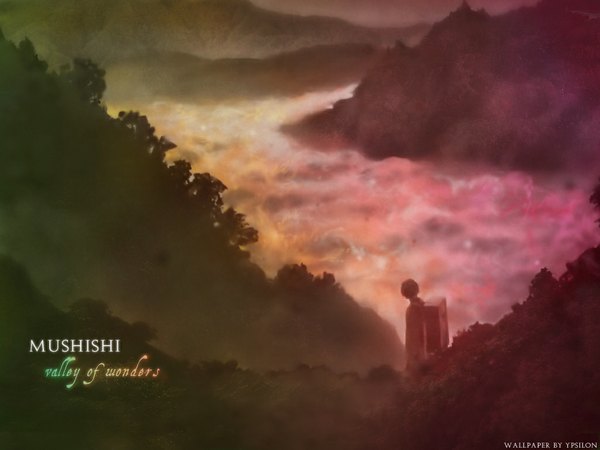 Anime picture 1024x768 with mushishi single copyright name text landscape boy tree (trees) forest tagme