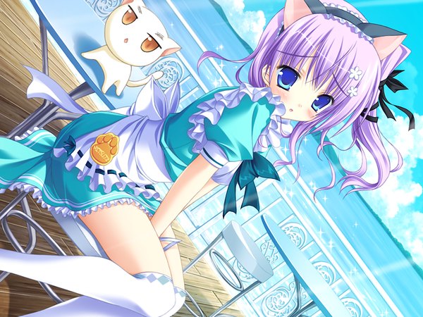 Anime picture 1200x900 with blush blue eyes animal ears game cg purple hair hair flower cat girl girl hair ornament ribbon (ribbons) water cat