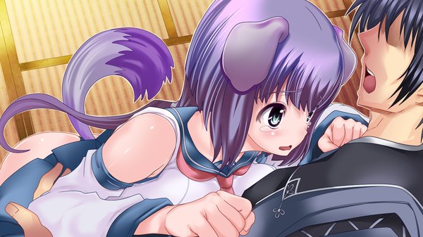 Anime picture 1280x720 with sengoku hime 4 long hair open mouth blue eyes wide image animal ears game cg purple hair animal tail tears girl boy detached sleeves