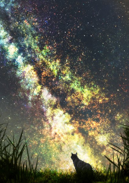 Anime picture 868x1228 with original kun52 tall image night night sky no people scenic nature milky way plant (plants) animal star (stars) cat grass