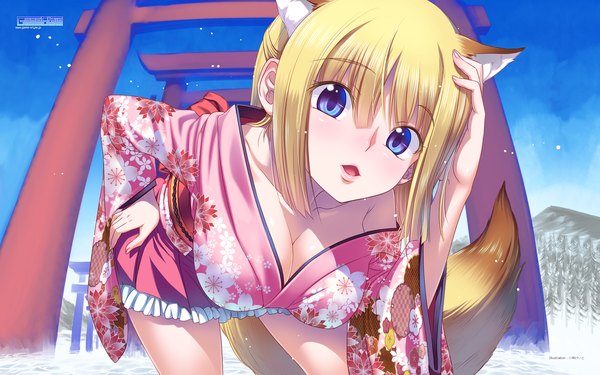 Anime picture 1920x1200 with koume keito single long hair looking at viewer highres breasts open mouth blue eyes light erotic blonde hair animal ears tail traditional clothes japanese clothes animal tail fox ears fox tail fox girl girl kimono