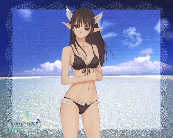 Anime picture 1280x1024 with shining (series) shining wind xecty tony taka light erotic girl swimsuit bikini black bikini