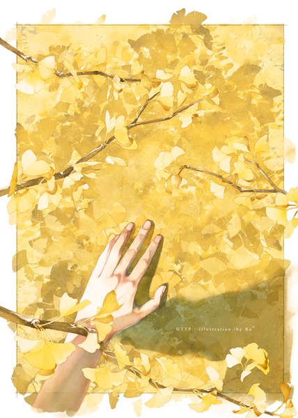 Anime picture 845x1185 with original re (artist) tall image signed shadow border head out of frame yellow background autumn plant (plants) leaf (leaves) branch autumn leaves hand ginkgo