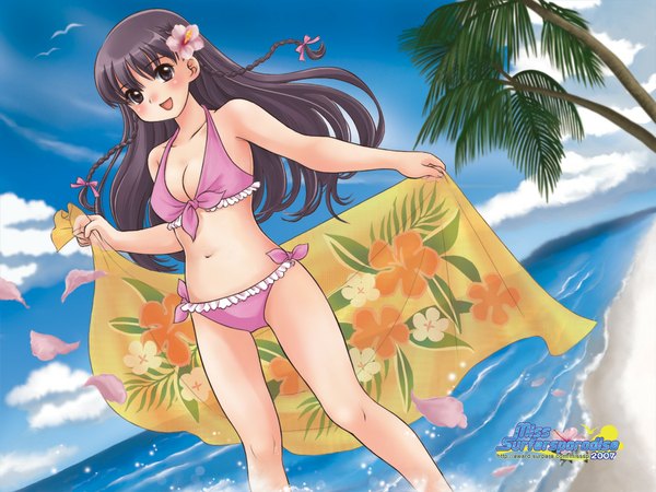 Anime picture 1024x768 with original luna2 blush open mouth light erotic smile purple eyes sky purple hair cloud (clouds) braid (braids) hair flower beach front-tie top tropical hair ornament flower (flowers) swimsuit plant (plants) bikini