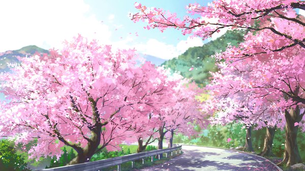 Anime picture 1280x720 with original dao dao wide image sky depth of field cherry blossoms mountain no people spring plant (plants) petals tree (trees) road