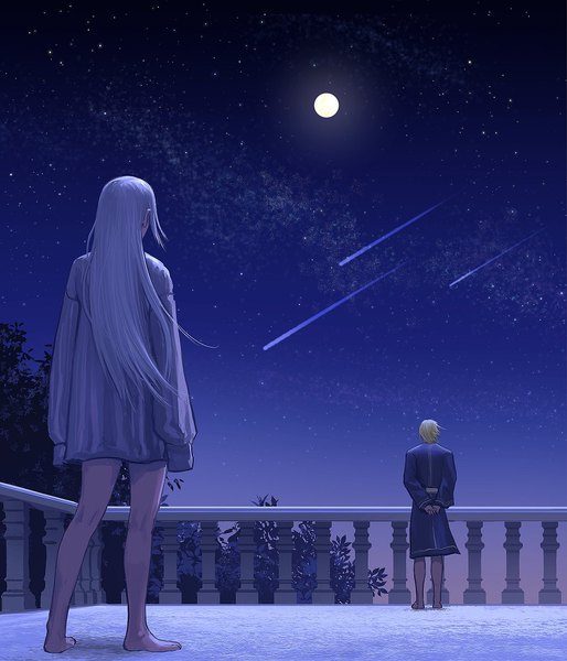 Anime picture 1000x1168 with fire emblem fire emblem: three houses nintendo edelgard von hresvelg dimitri alexandre blaiddyd redaster8 long hair tall image short hair blonde hair standing outdoors white hair long sleeves barefoot wind from behind night night sky sleeves past wrists