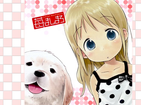 Anime picture 1024x768 with ichigo mashimaro ana coppola dog tagme
