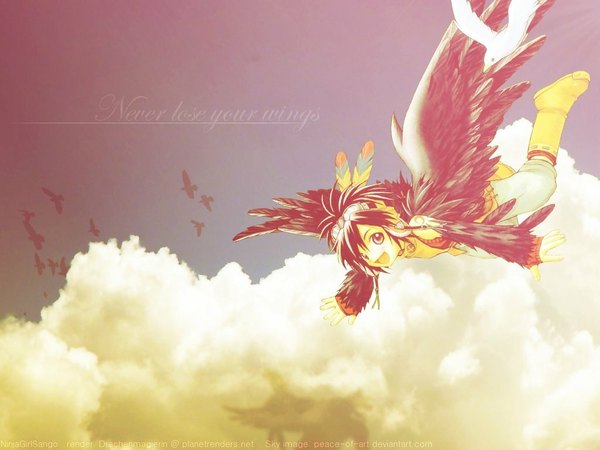 Anime picture 1024x768 with +anima (manga) cooro cloud (clouds) animal wings bird (birds)