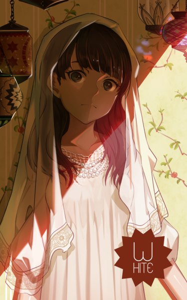 Anime picture 2000x3200 with lu'' single long hair tall image looking at viewer highres brown hair brown eyes shadow girl dress necklace lamp veil wall