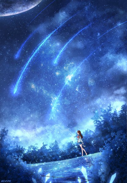 Anime picture 1011x1455 with original czy single long hair tall image brown hair signed sky full body profile barefoot night bare legs night sky reflection glow shooting star girl uniform plant (plants)
