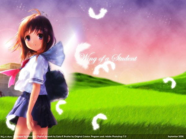 Anime picture 1024x768 with goto p single long hair looking at viewer brown hair purple eyes loli soft beauty meadow girl skirt uniform plant (plants) serafuku feather (feathers) grass