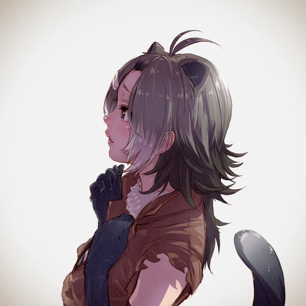 Anime picture 1920x1920 with kemono friends american beaver (kemono friends) takami masahiro single long hair highres simple background brown eyes animal ears looking away ahoge upper body tail animal tail profile multicolored hair grey hair two-tone hair girl gloves