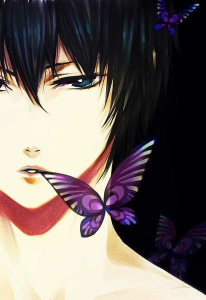 Anime picture 712x1035 with katekyou hitman reborn hibari kyouya narumi622 single tall image looking at viewer fringe short hair blue eyes black hair parted lips lips black background close-up eyebrows boy insect butterfly