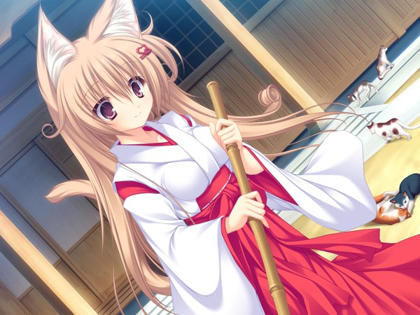 Anime picture 1600x1200 with neko koi! whirlpool (studio) ryuudou misaki mikagami mamizu single long hair fringe breasts blonde hair smile hair between eyes standing purple eyes animal ears looking away outdoors tail traditional clothes japanese clothes animal tail