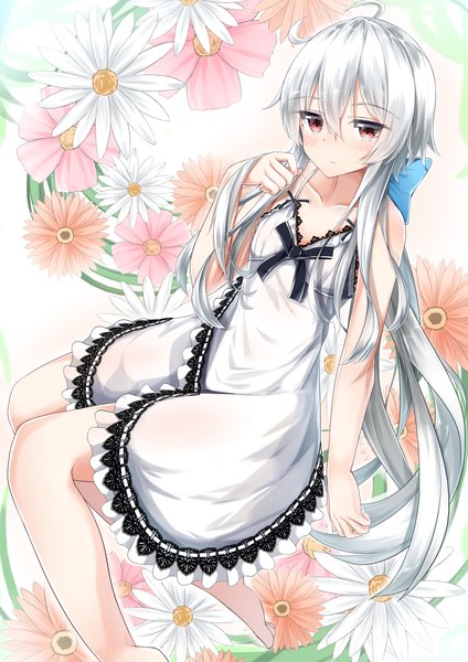 Anime picture 2520x3565 with original moyoron single long hair tall image looking at viewer fringe highres hair between eyes red eyes white background payot silver hair ahoge barefoot sleeveless low ponytail floral background girl dress