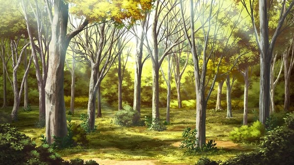 Anime picture 2560x1440 with yaneura no kanojo highres wide image game cg no people landscape nature plant (plants) tree (trees) forest