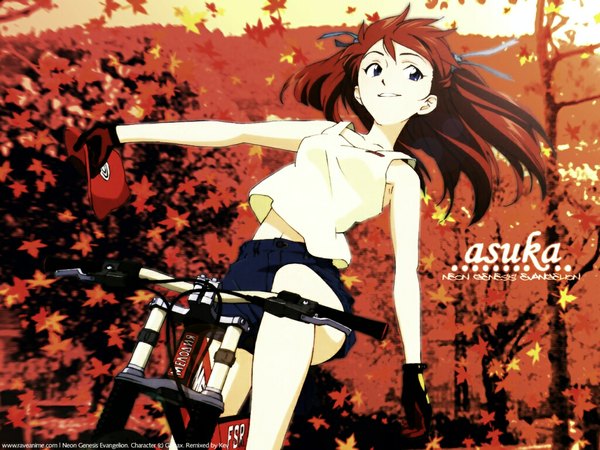 Anime picture 1024x768 with neon genesis evangelion gainax soryu asuka langley autumn ground vehicle bicycle