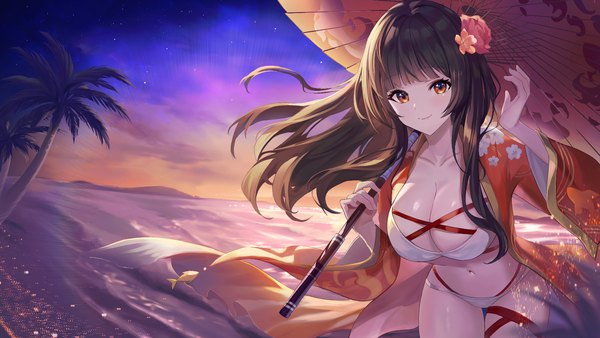 Anime picture 1701x957 with akashic chronicle doco (doco3811) single long hair blush fringe highres breasts light erotic smile red eyes brown hair wide image large breasts standing holding sky cleavage outdoors blunt bangs