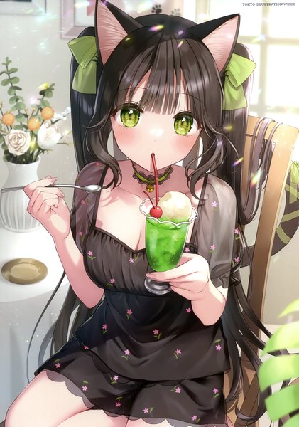 Anime picture 2105x2998 with original momoshiki tsubaki single long hair tall image looking at viewer blush fringe highres black hair sitting twintails holding green eyes animal ears payot cleavage indoors tail blunt bangs