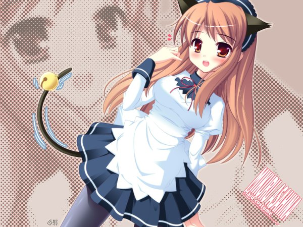 Anime picture 1600x1200 with suzumiya haruhi no yuutsu kyoto animation asahina mikuru natsumiya yuzu animal ears tail maid cat girl girl pantyhose