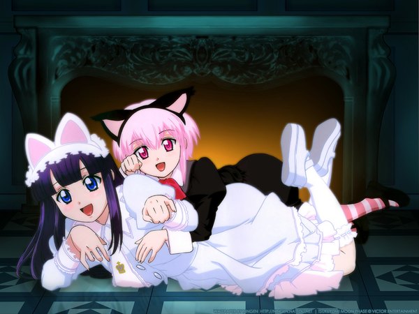 Anime picture 1024x768 with tsukuyomi moon phase shaft (studio) hazuki artemis (tsukuyomi) animal ears cat ears cat girl wallpaper girl