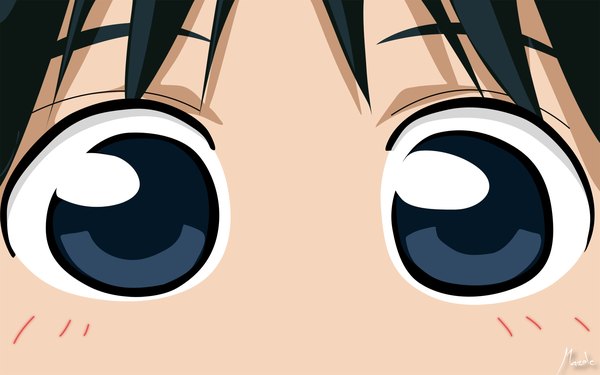 Anime picture 1680x1050 with school rumble tsukamoto tenma single looking at viewer blush fringe blue eyes black hair wide image close-up face eyes girl