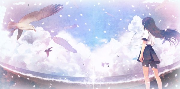 Аниме картинка 1417x708 с оригинальное изображение furai (furai127) один (одна) длинные волосы чёрные волосы широкое изображение стоя небо облако (облака) пляж невесомость девушка животное лепестки море птица (птицы) перо (перья) солнце велошорты морская чайка