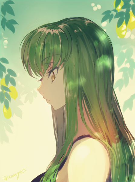 Anime picture 600x806 with code geass sunrise (studio) c.c. creayus single long hair tall image fringe bare shoulders yellow eyes looking away profile green hair sunlight girl leaf (leaves)