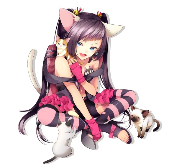 Anime picture 1200x1126 with original hakusai (tiahszld) single long hair looking at viewer open mouth blue eyes white background sitting animal ears purple hair cat ears cat girl cat tail indian style girl thighhighs bell cat striped thighhighs
