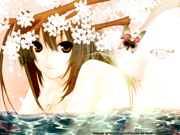 Anime picture 1600x1200 with sekirei tagme