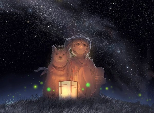Аниме картинка 1200x880 с luke (artist) два хвостика небо белые волосы ночь растение (растения) животное звезда (звёзды) трава фонарь собака короткое кимоно светлячки