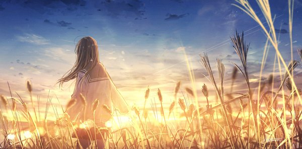 Anime picture 3316x1638 with original amenomori howa single long hair highres black hair wide image standing sky cloud (clouds) outdoors long sleeves from behind sunlight landscape morning sunrise girl skirt uniform