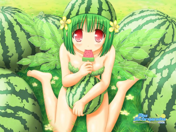 Anime picture 1024x768 with miss surfersparadise aoi akua single blush short hair red eyes sitting barefoot green hair watermark wariza food print watermelon print girl flower (flowers) wings food fruit berry (berries) popsicle