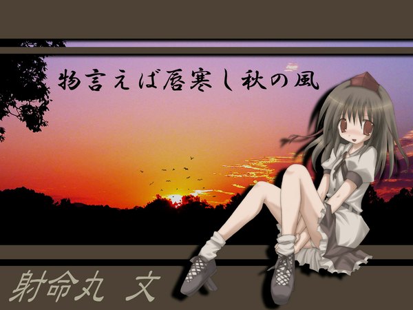 Anime picture 1024x768 with touhou shameimaru aya light erotic evening sunset pantyshot sitting girl