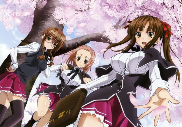 Anime picture 6979x4905 with highschool dxd katase (high school dxd) kiryuu aika murayama (high school dxd) mishima hiroji long hair looking at viewer highres short hair breasts open mouth smile brown hair large breasts twintails multiple girls brown eyes yellow eyes pink hair absurdres