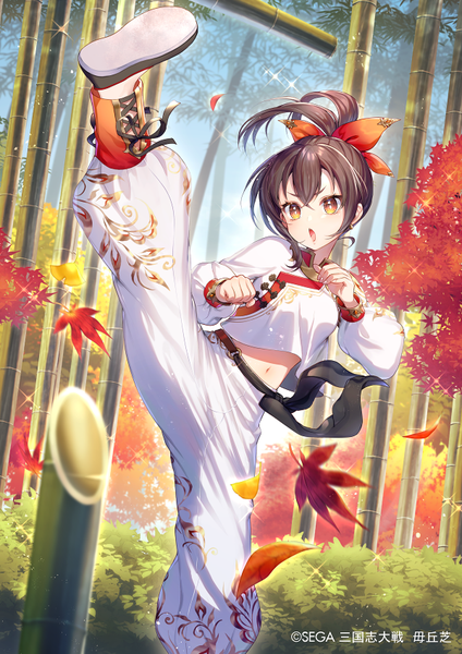 Anime picture 600x850 with sangokushi taisen momoshiki tsubaki single tall image fringe short hair open mouth hair between eyes brown hair yellow eyes payot looking away outdoors ponytail long sleeves traditional clothes wind blurry official art sparkle