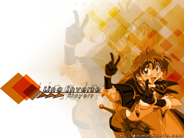 Anime picture 1024x768 with slayers j.c. staff lina inverse tagme