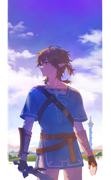 Anime picture 2000x3245 with the legend of zelda the legend of zelda: breath of the wild nintendo link handot (d yot ) single tall image highres short hair blue eyes blonde hair looking away sky cloud (clouds) ahoge outdoors ponytail profile pointy ears pillarboxed