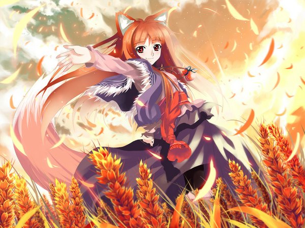 Anime picture 811x608 with spice and wolf horo shino (eefy) single long hair looking at viewer blush fringe blonde hair smile standing brown eyes animal ears cloud (clouds) tail animal tail multicolored hair wind lips happy