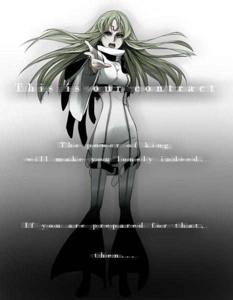 Anime picture 943x1218 with code geass sunrise (studio) c.c. revolmxd single long hair tall image looking at viewer open mouth simple background brown eyes green hair grey background gradient background text facial mark english girl bodysuit
