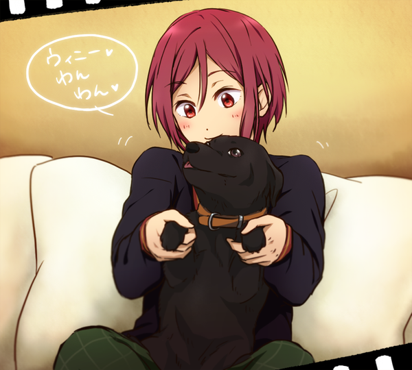 Anime picture 800x720 with free! kyoto animation matsuoka rin winnie (free!) hamu single blush fringe short hair smile hair between eyes red eyes sitting holding payot red hair inscription indian style boy animal