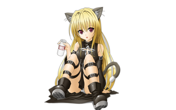 Anime picture 2560x1600 with toloveru toloveru darkness xebec konjiki no yami toshi5765 highres light erotic blonde hair wide image white background tail cat girl girl boots buckles