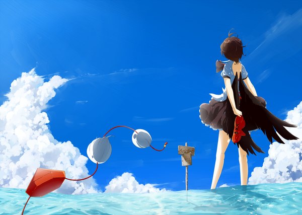 Аниме картинка 1500x1069 с touhou шамеимару ая ryuu (tsukinoyuki) один (одна) короткие волосы чёрные волосы облако (облака) девушка крылья tokin hat